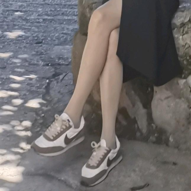 郁金香²¹⁹