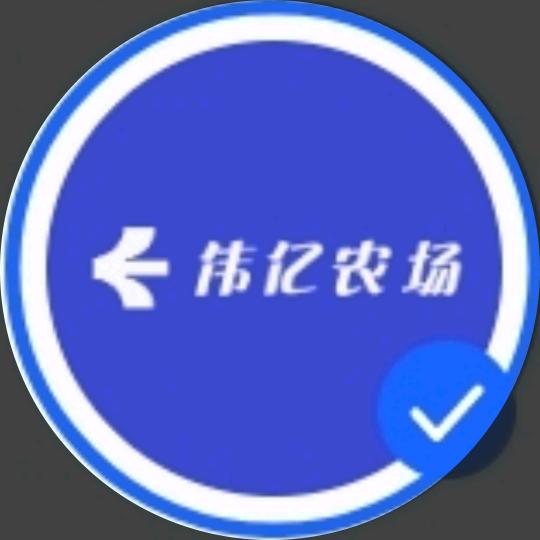 55312517856