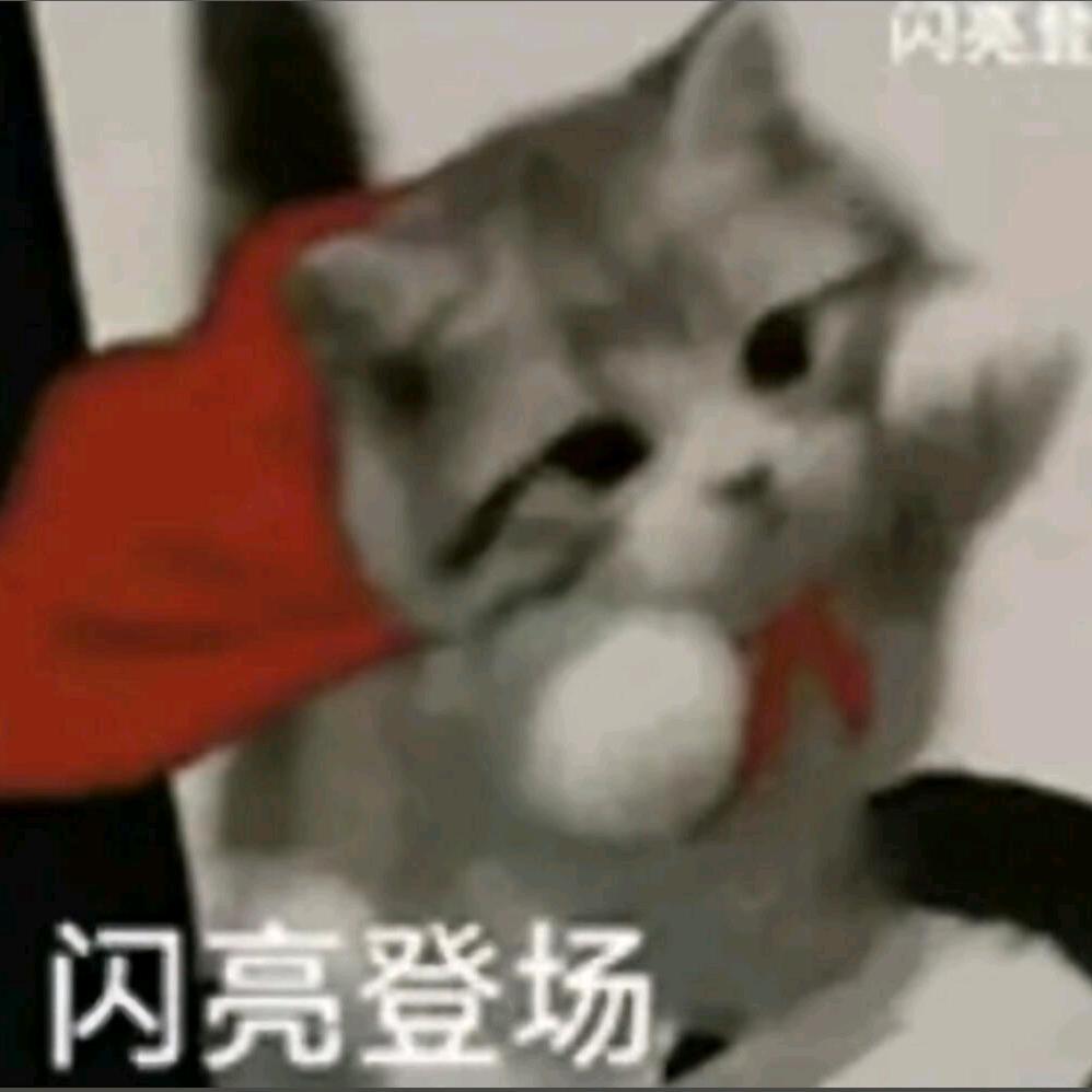 红袍掌柜