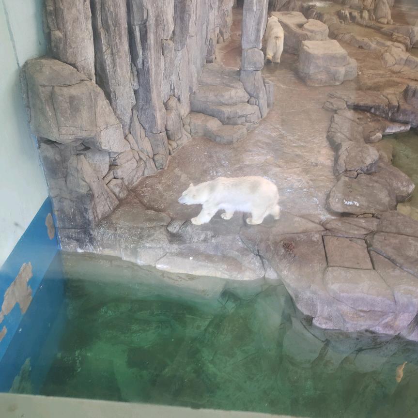 只饮烈酒不谈过往