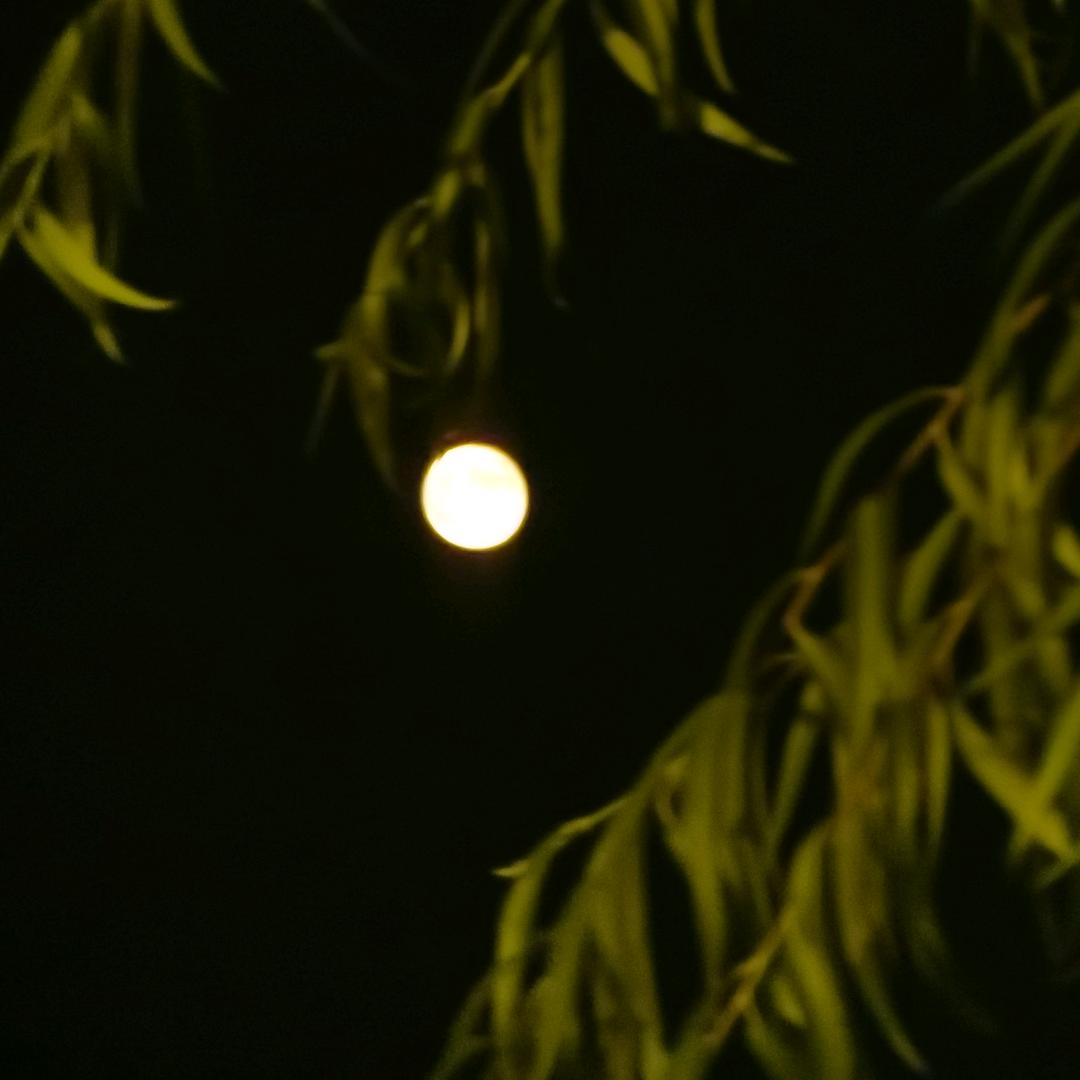 ⠀ ￴￴ ￴￴￴ ￴