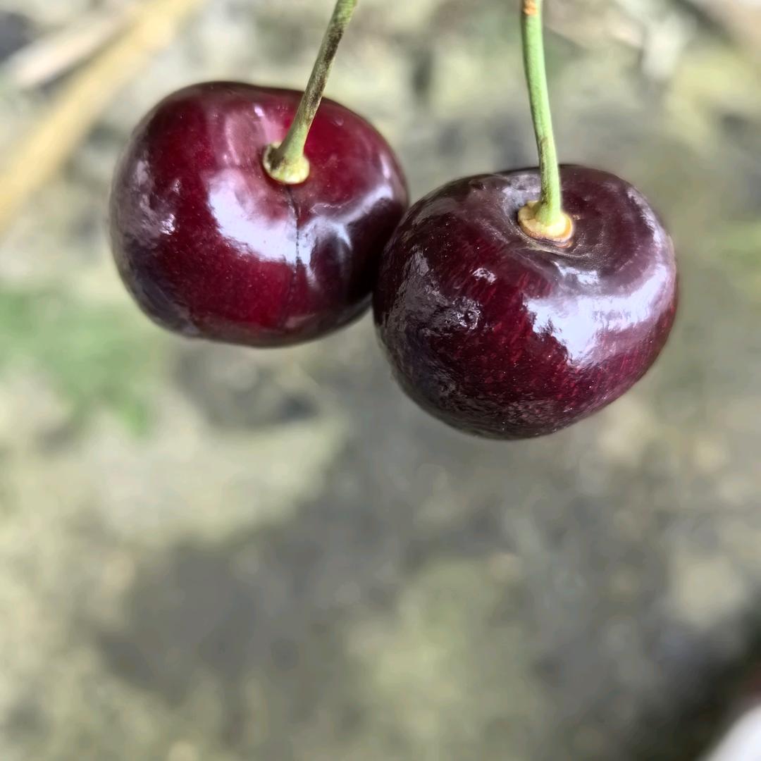 兜᭄🍎里ᝰ᭄有💞点🌹空🍎
