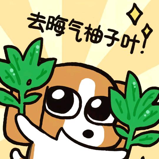 🌈哈哈哈🌈