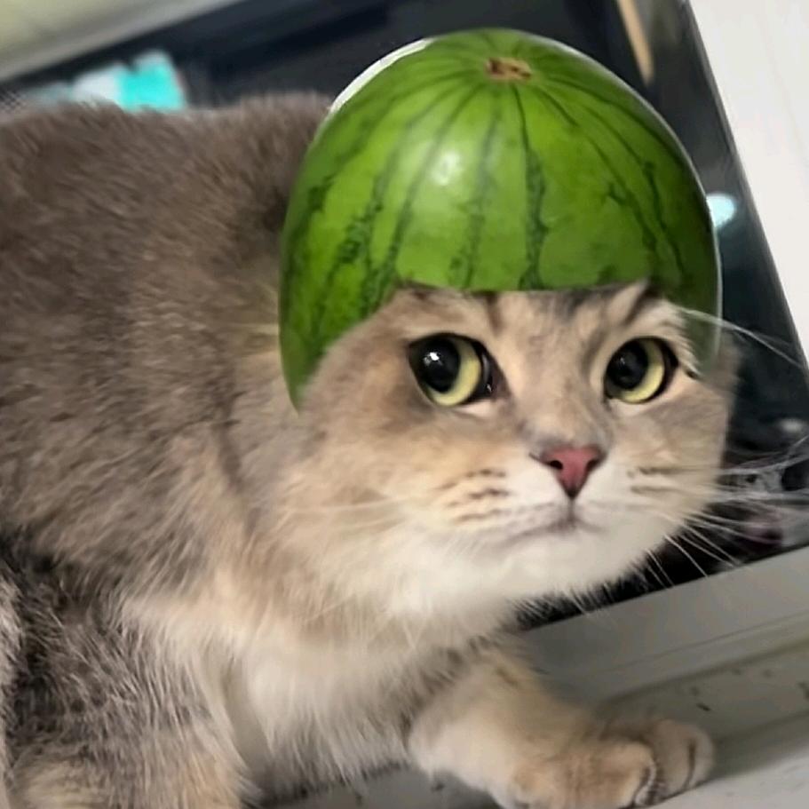 马什么梅