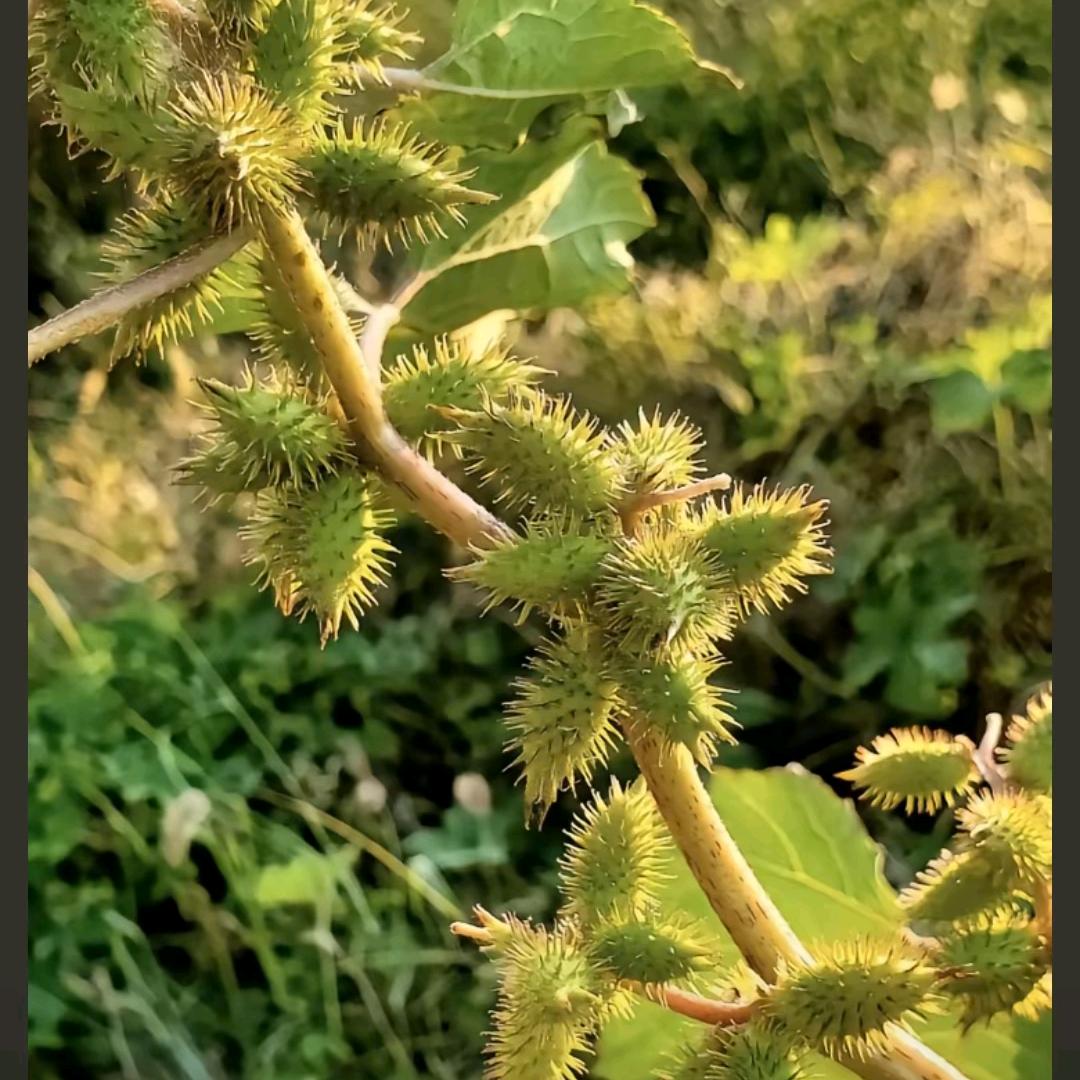 💗淡然一笑💕