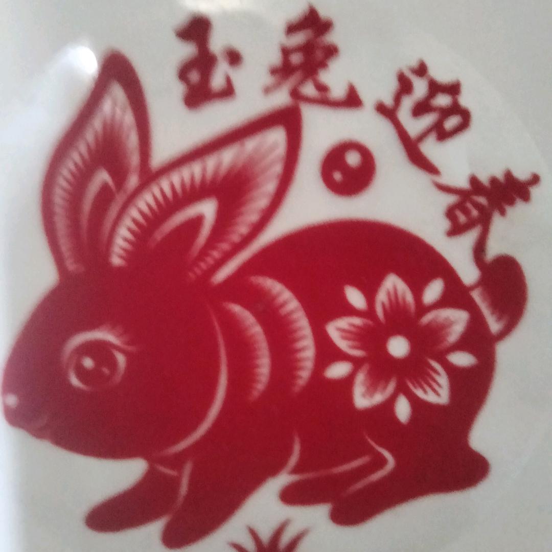 玉兔传奇
