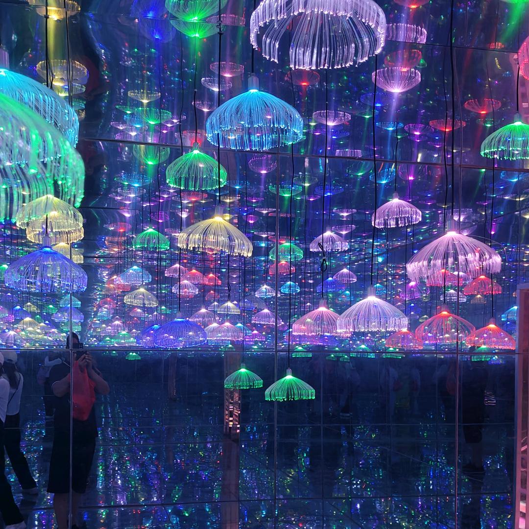 骨折子