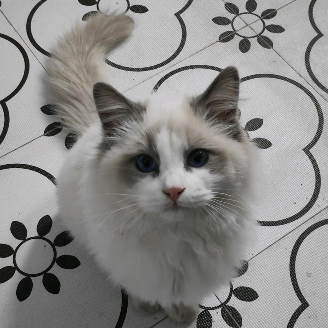 悲伤玉米排骨汤🌽