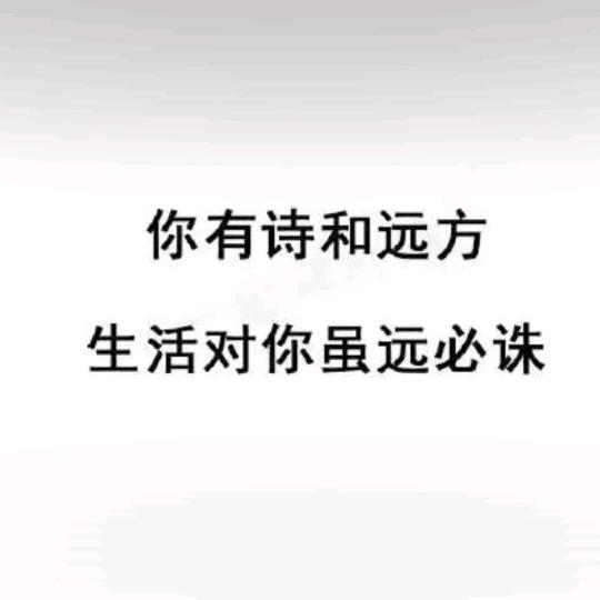 梦往哪飞我往哪追