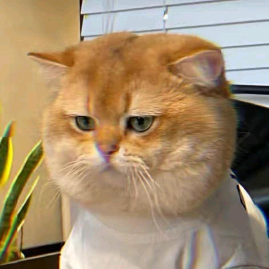 🧻