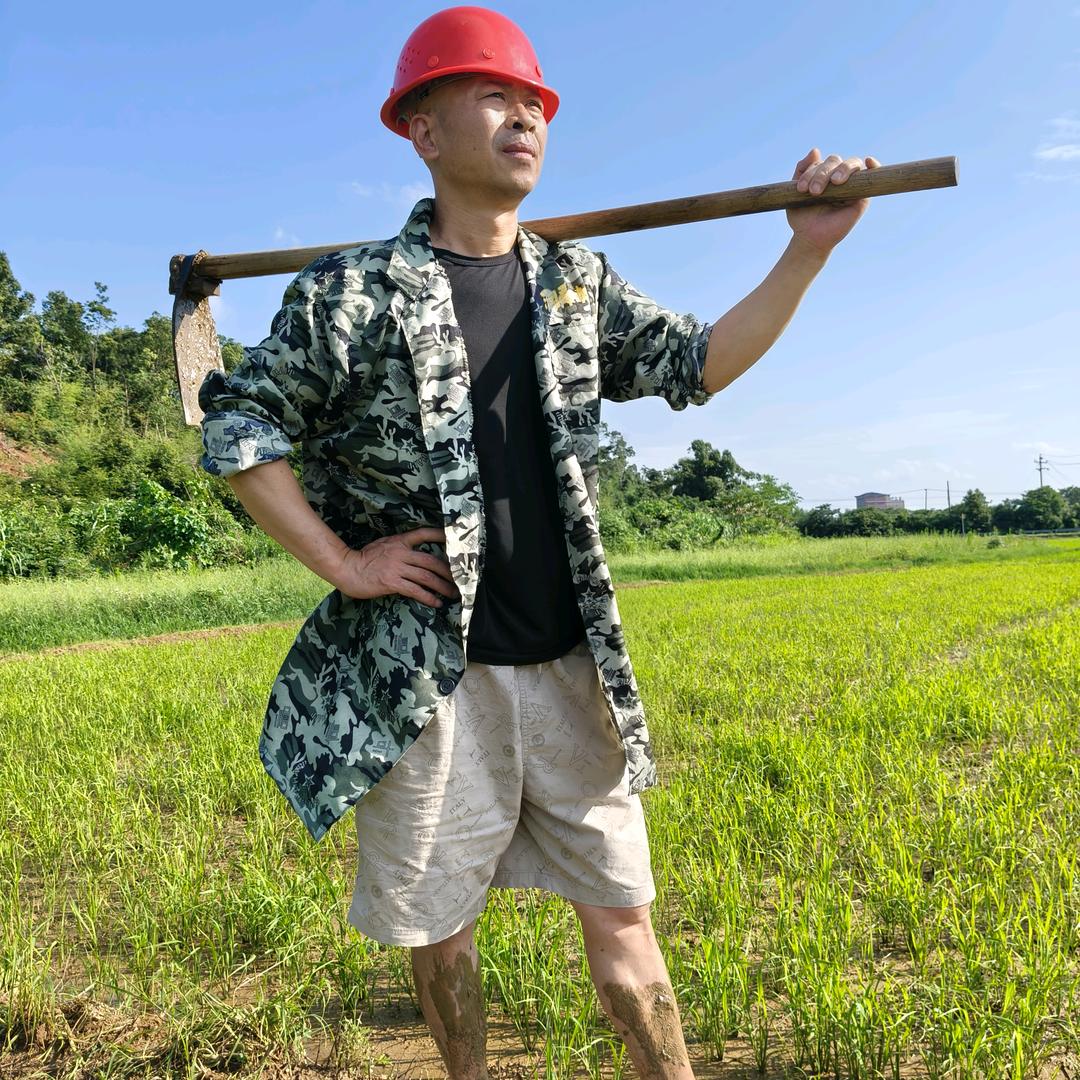光 头 仔（尊师来哥来了）