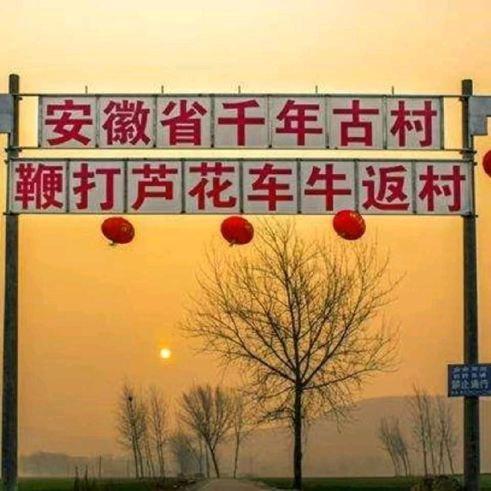 千年古村鞭打芦花车牛返