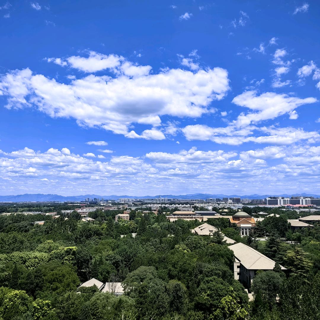 闲读静思