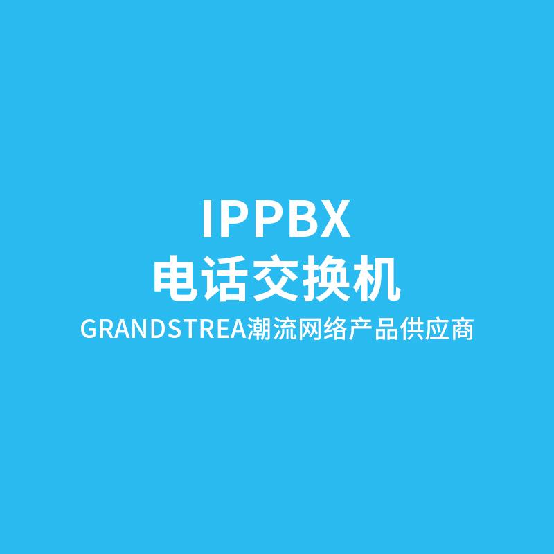 Grandstream国威IP电话交换机