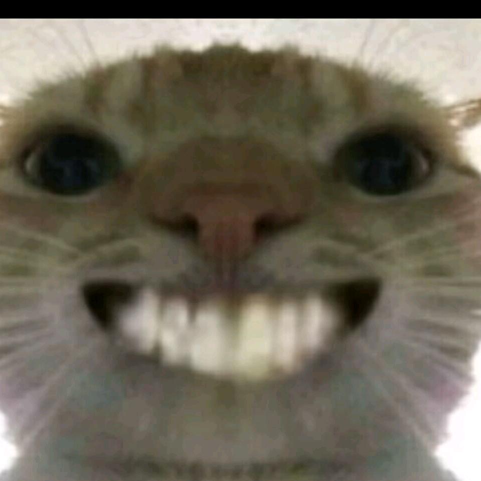 ，，陈