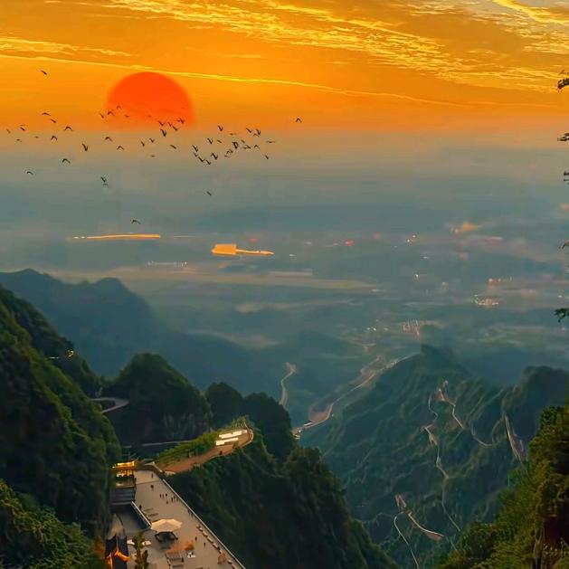 🌈ZQJ🇨🇳