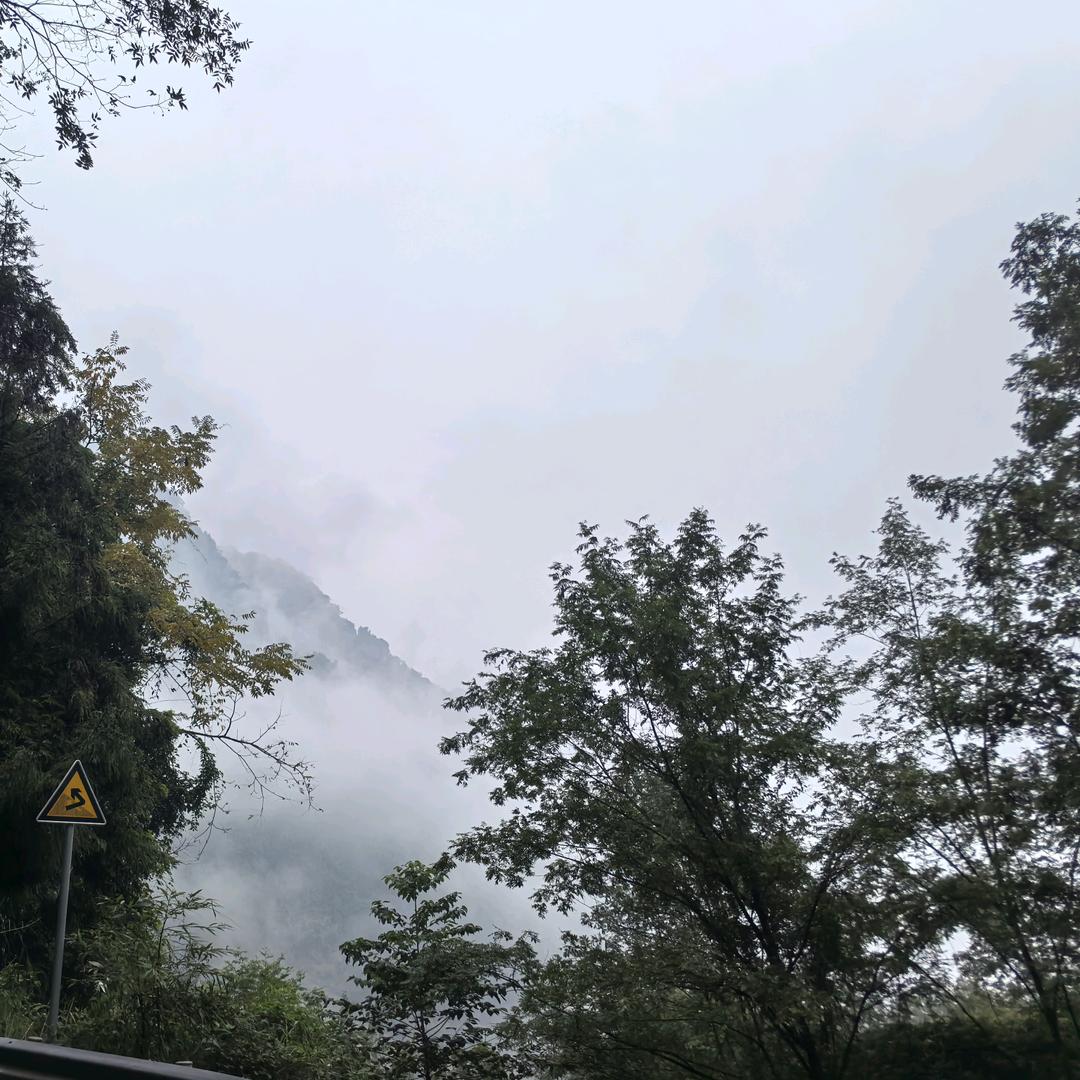 大大幸运🌈（有耙耙柑果园）