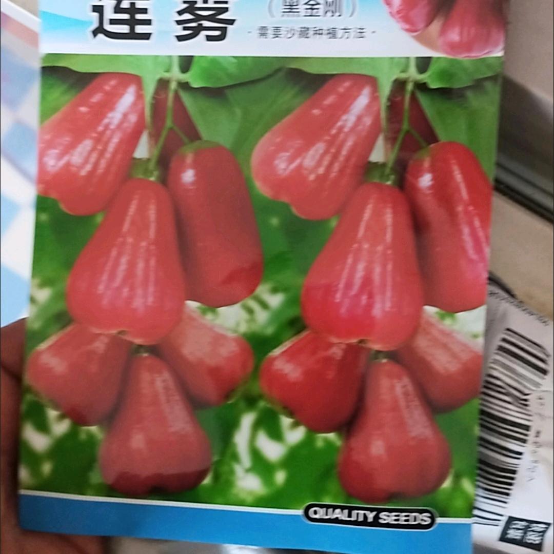 我是老玩童头像
