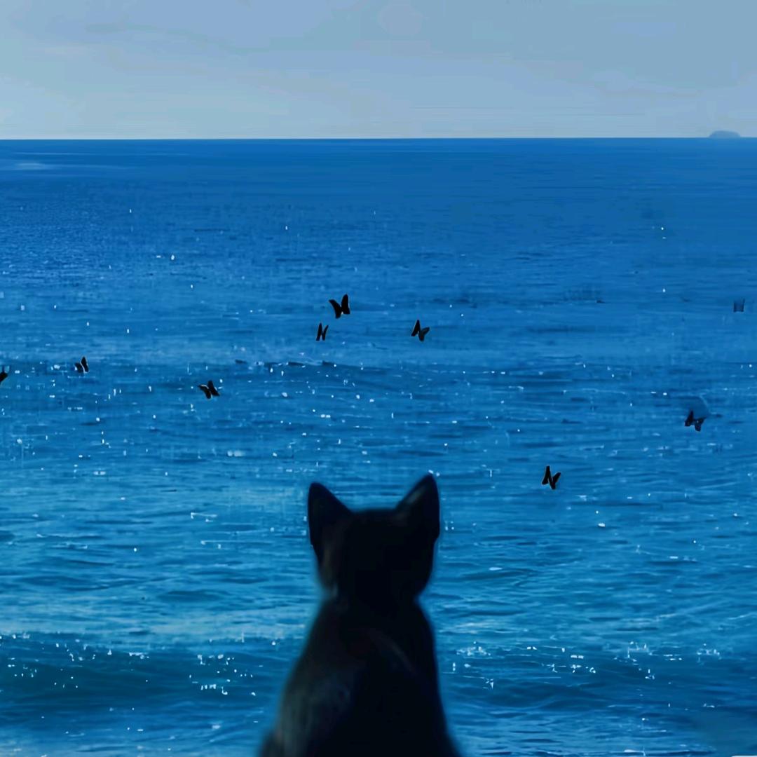 余🐬