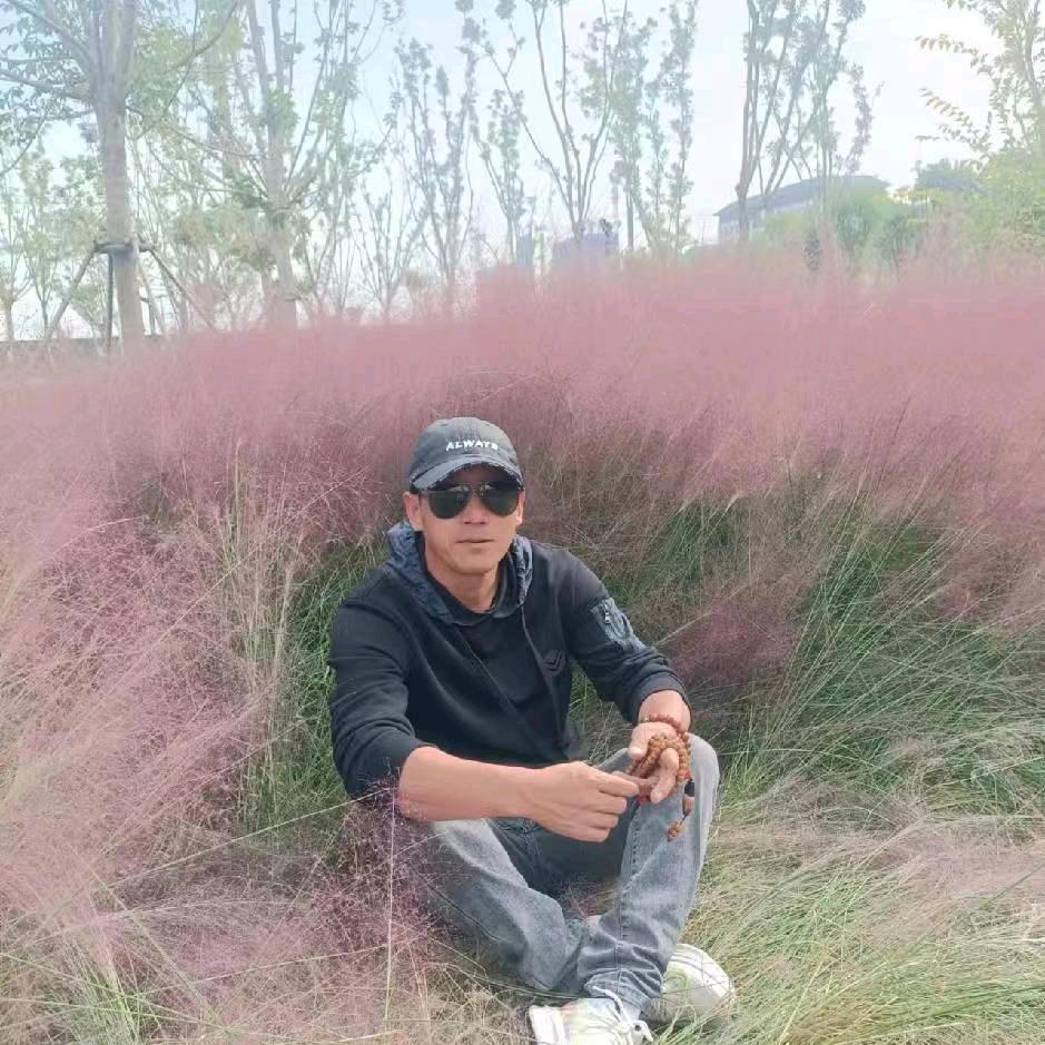 全真龙门至字辈