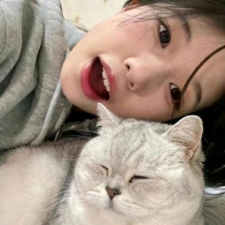 玫饼吧你