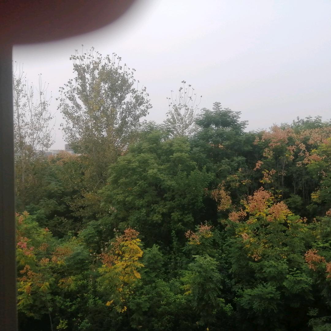 每天都快乐