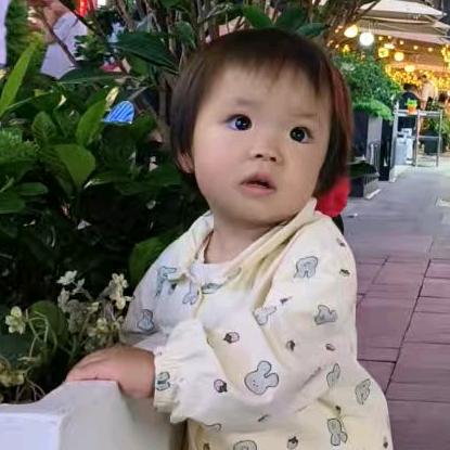 风继续吹