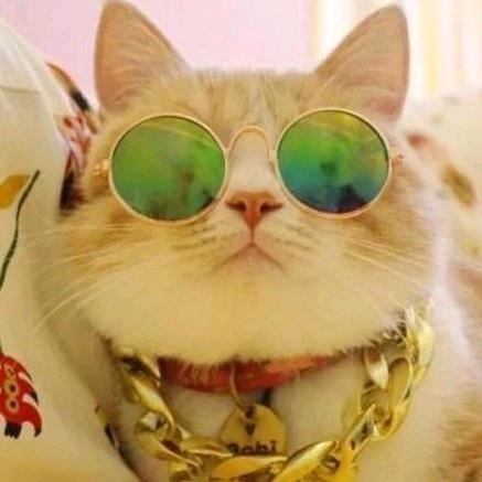 大猫