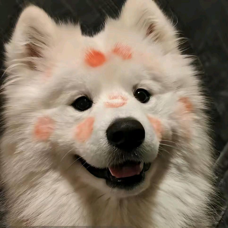 秋风微凉🌠˃ʍ˂