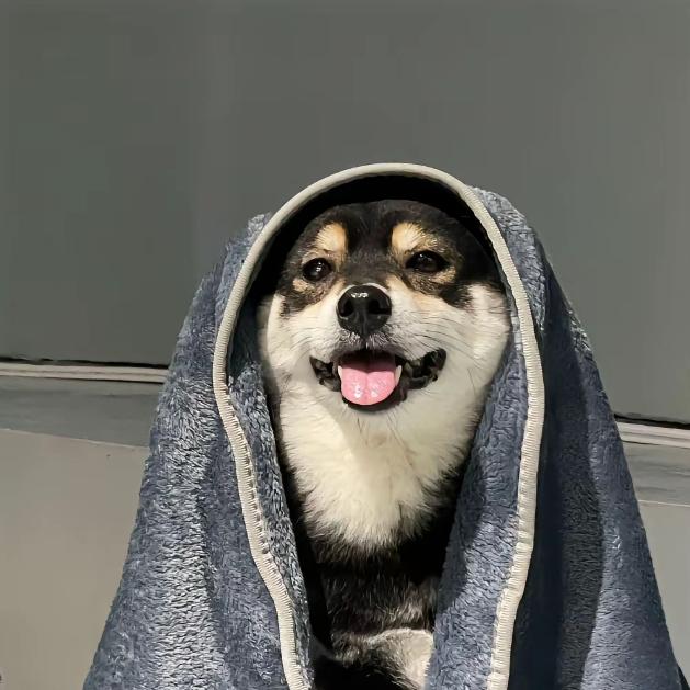 王，