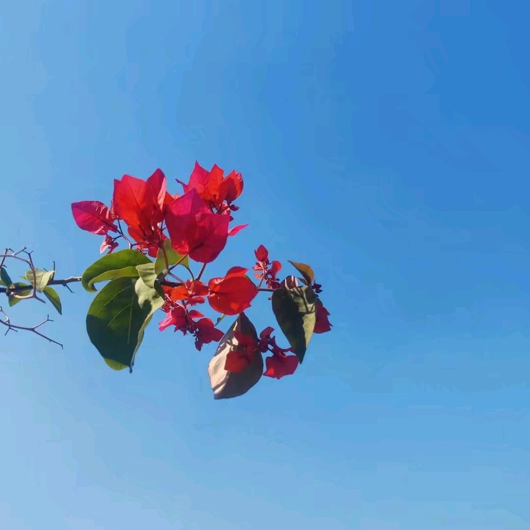 兜兜有糖🍬