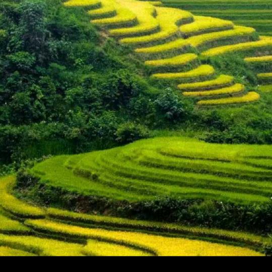 用户伟哥，6635684561240