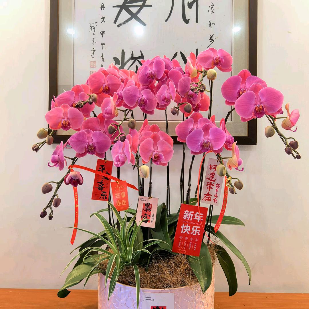 十里春风那个我