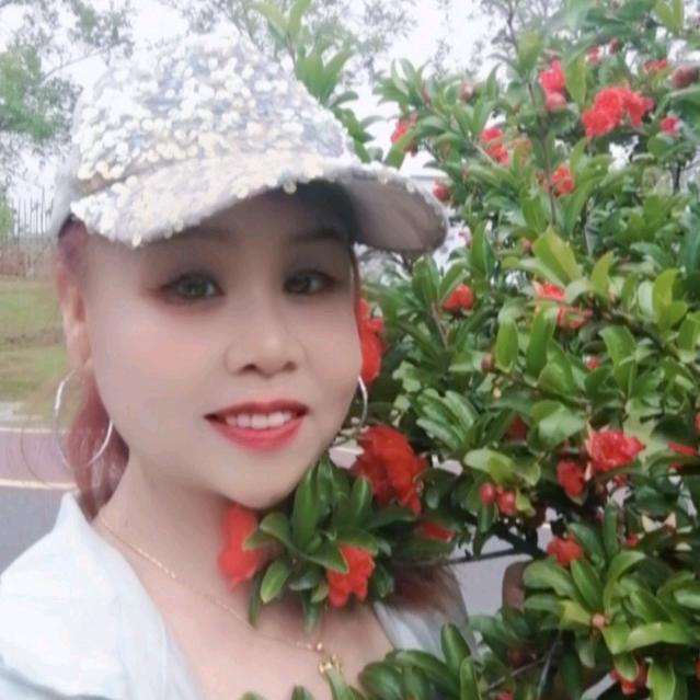 无忧草