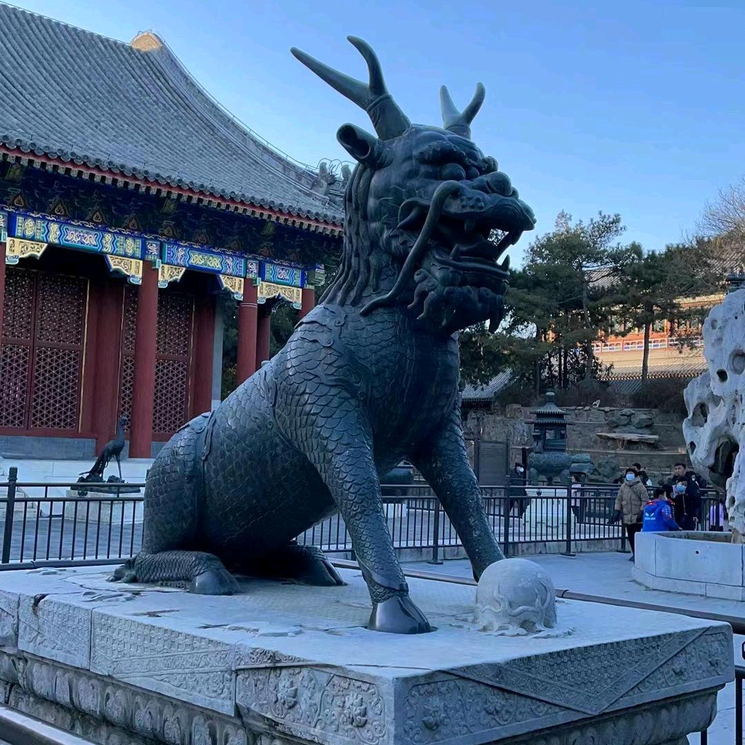 麒麟大哥C