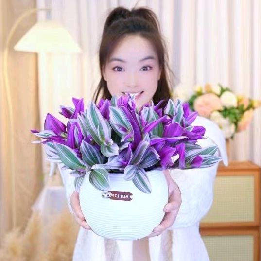 花卉小思