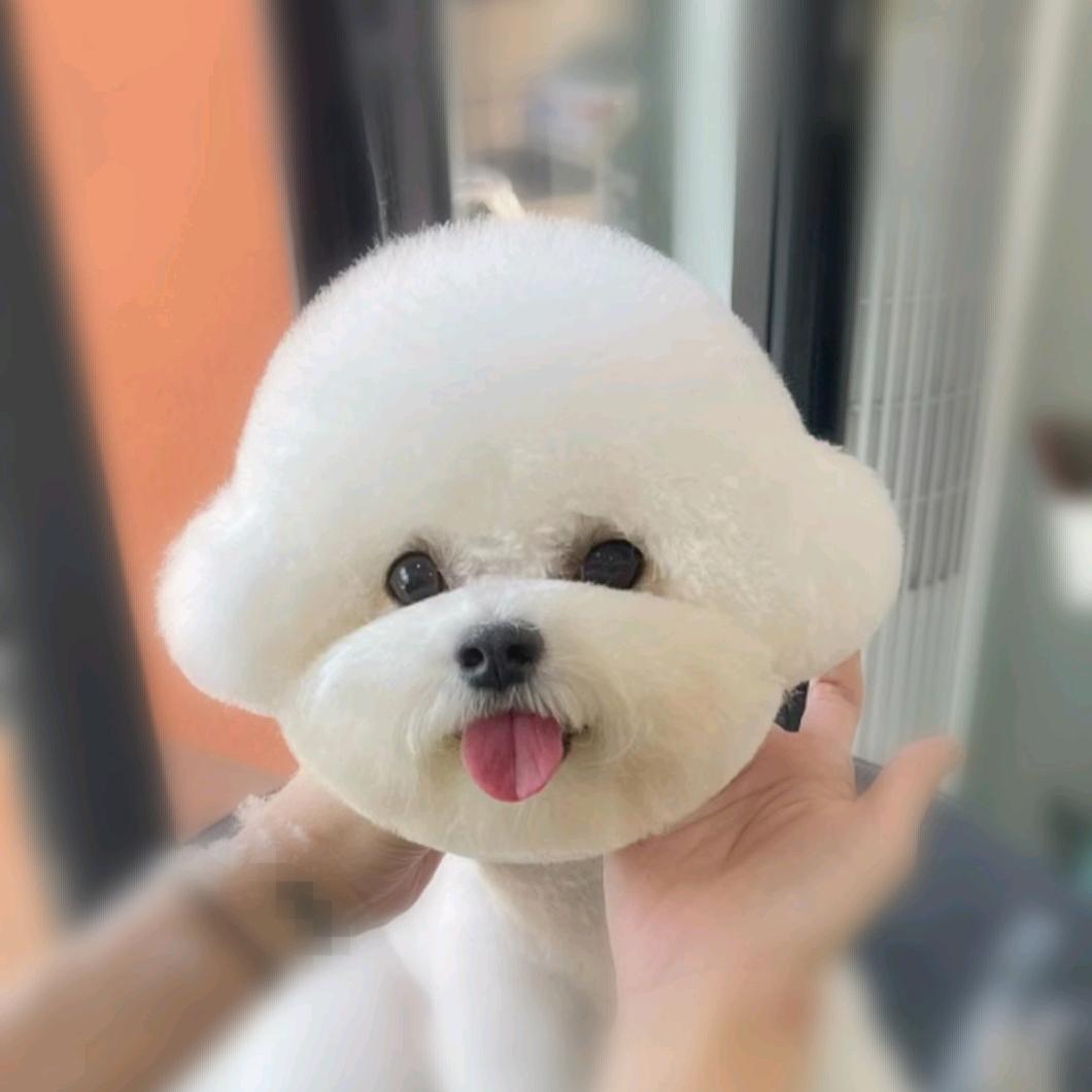 爱萌宠物乐园