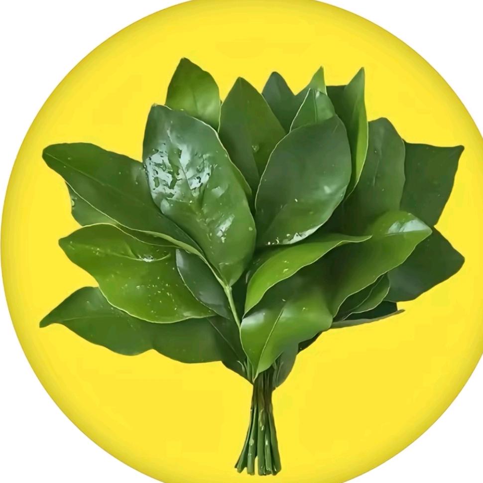 ✅皆如我愿（冲100粉）
