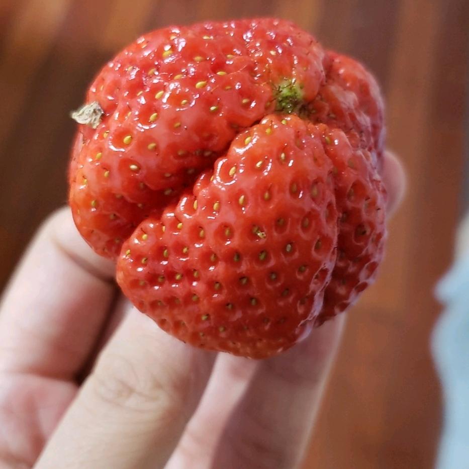 橘子橘子🍊