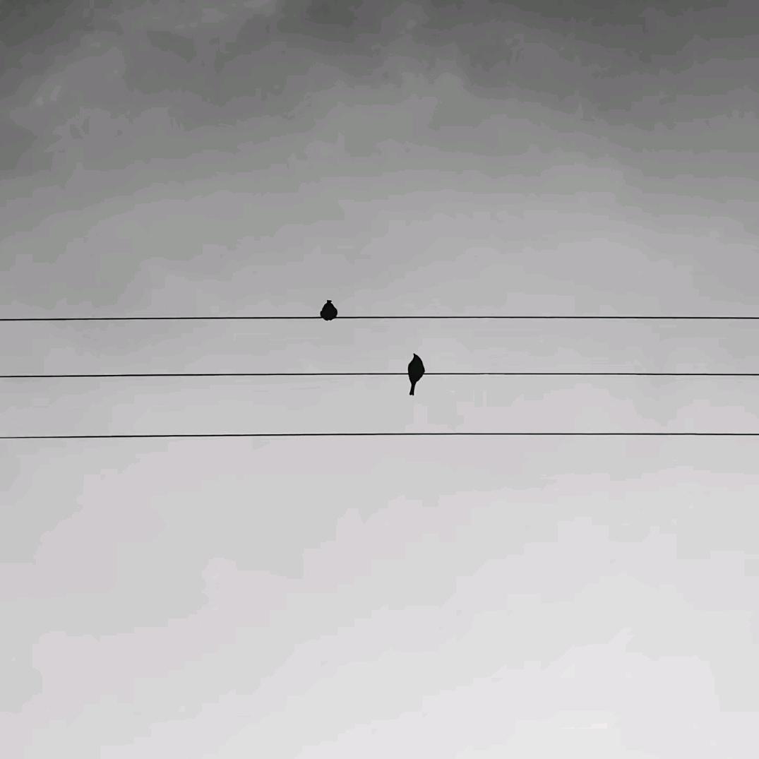 小葛.
