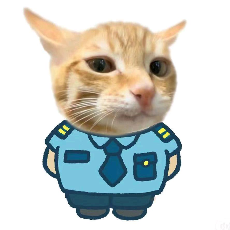 𝗖𝗖