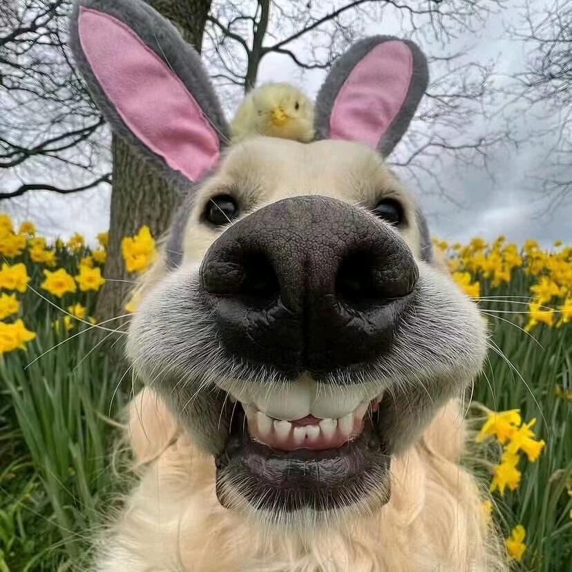 扶八十岁老奶奶闯红灯