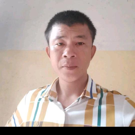 陈柄廷