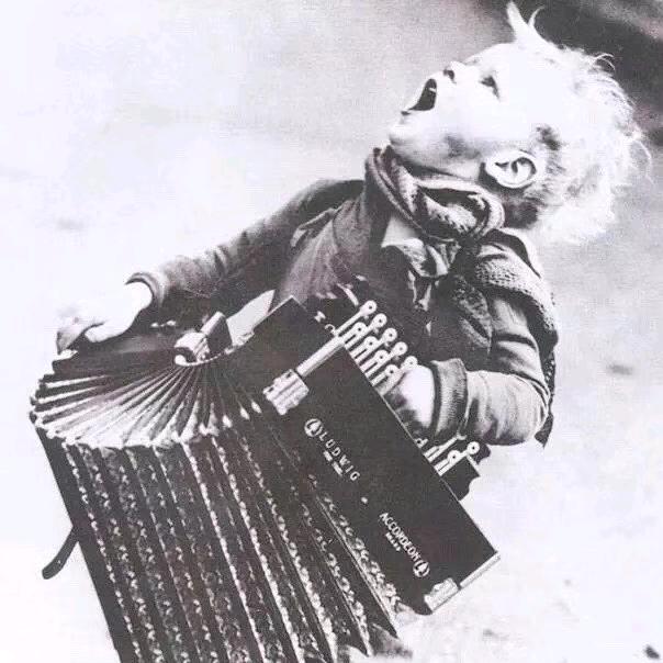 →_→秋天的飞龙