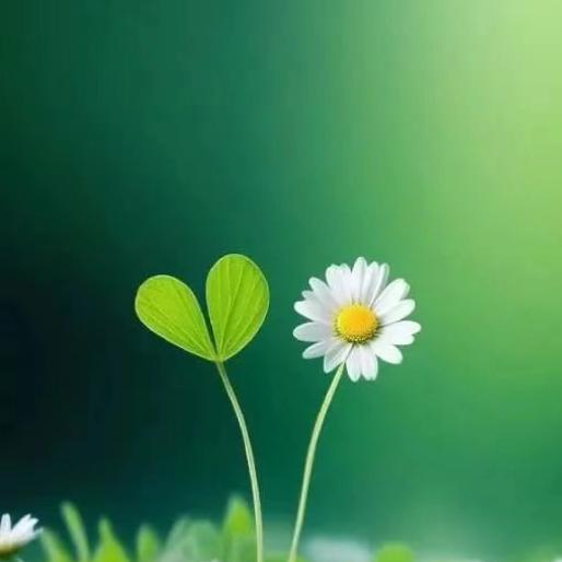 对亇霺笑纟屯屬礼貌