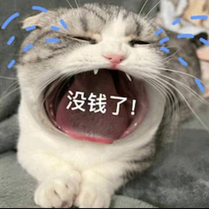 屁股弹弹修修