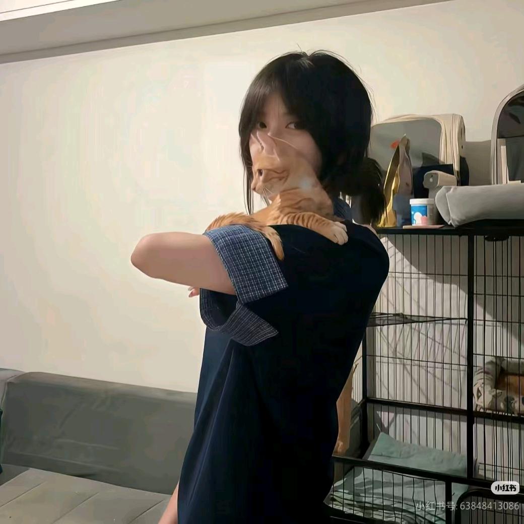 小鹤传媒