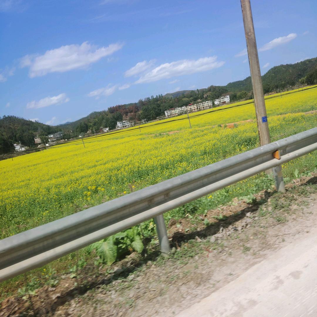傅