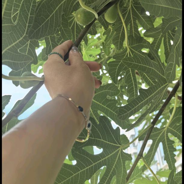 ღ᭄石榴ꦿ࿐木