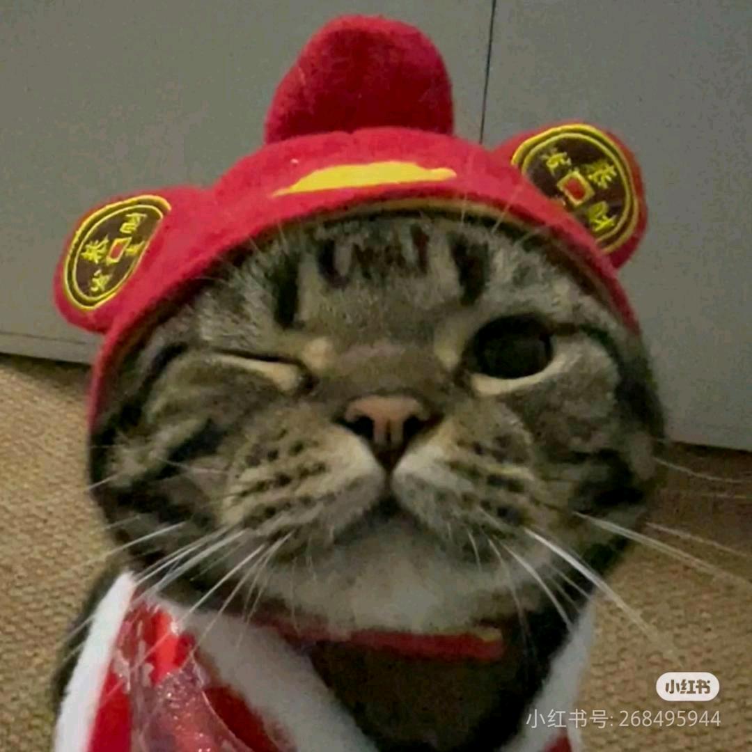 小亮运机（六年之约）